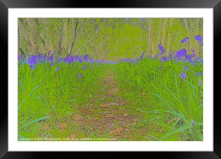 Bluebell Opening Pathway Framed Mounted Print by GJS Photography Artist