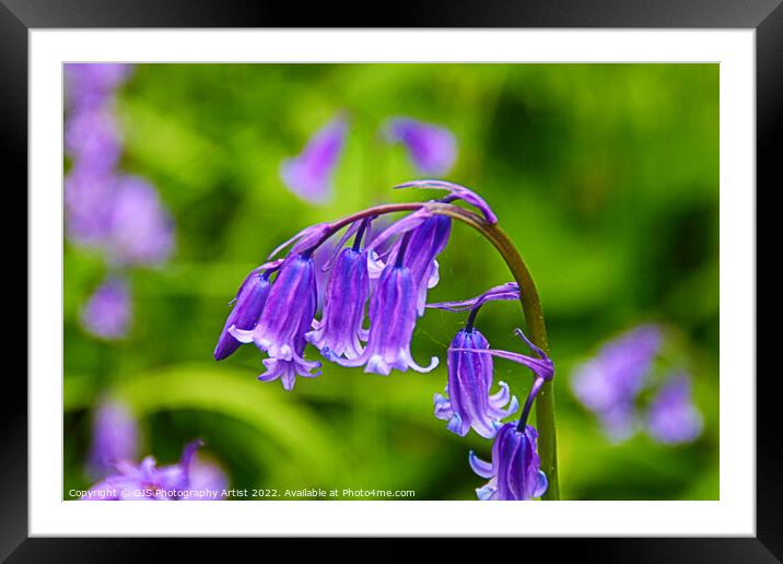 Picture Perfect Framed Mounted Print by GJS Photography Artist