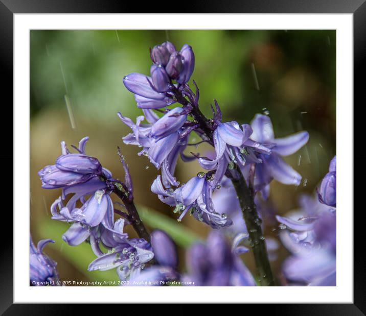 Rain on the Bells Framed Mounted Print by GJS Photography Artist