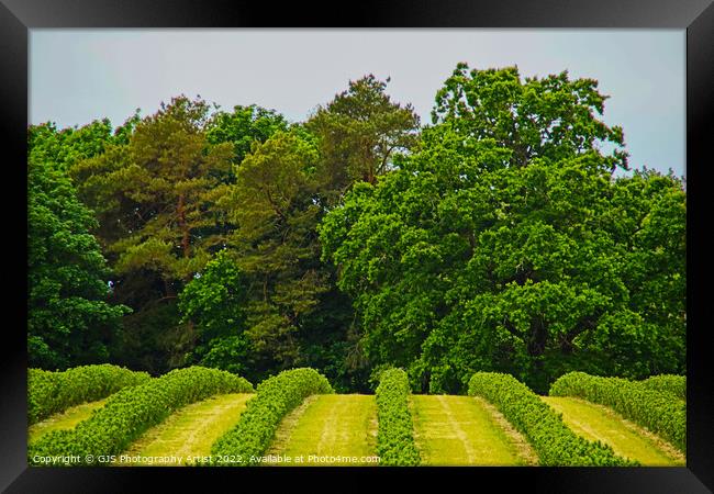 Over the Hill Framed Print by GJS Photography Artist