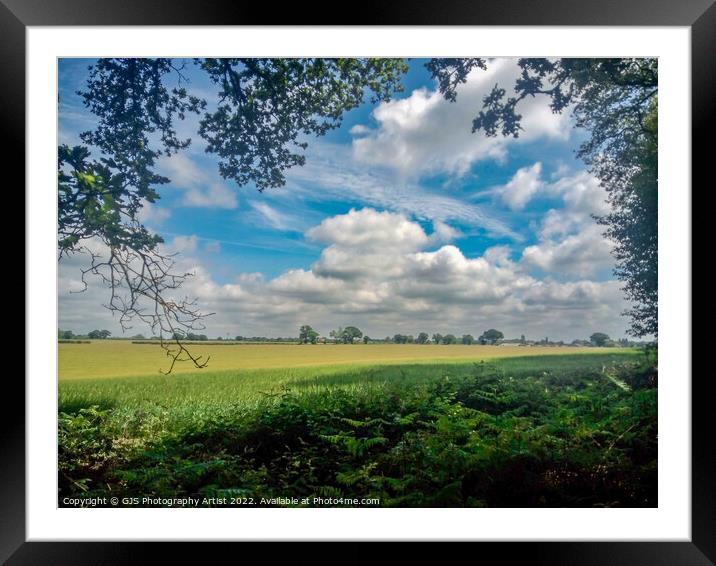 Opening from the Woods Framed Mounted Print by GJS Photography Artist