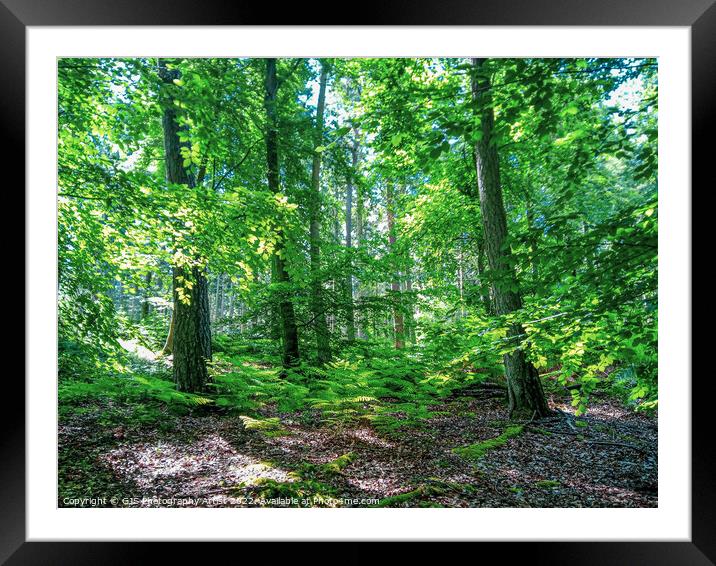 Small and Big Framed Mounted Print by GJS Photography Artist