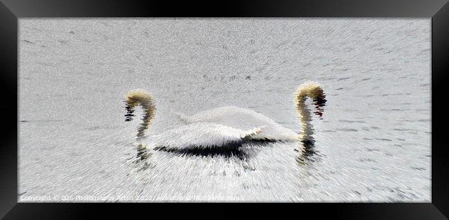 Swans Extrude Framed Print by GJS Photography Artist