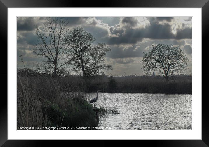 Majestic Heron Hunting Framed Mounted Print by GJS Photography Artist