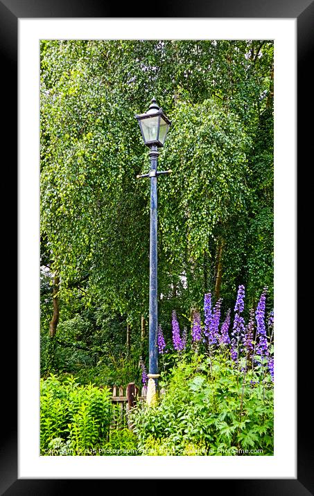 Bulbs Up Framed Mounted Print by GJS Photography Artist