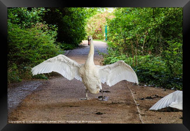 Thou Shalt Not Pass Framed Print by GJS Photography Artist