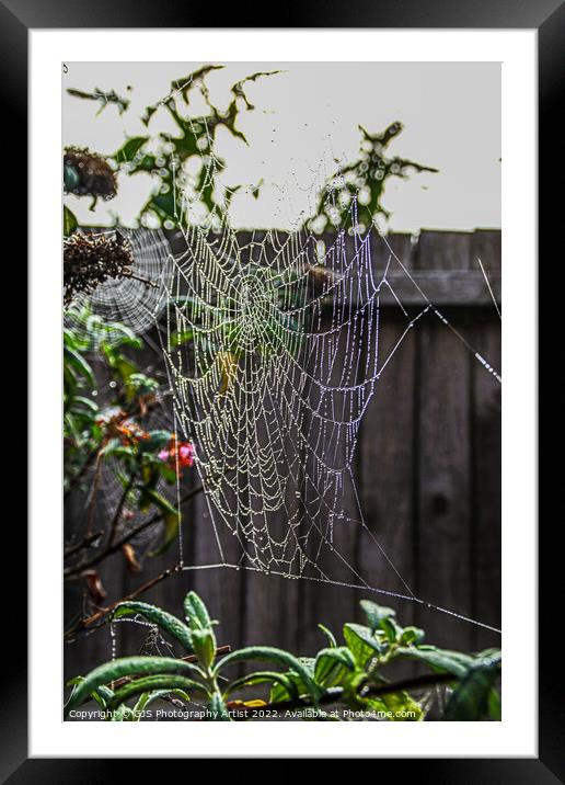 Spinning the Interweb Framed Mounted Print by GJS Photography Artist