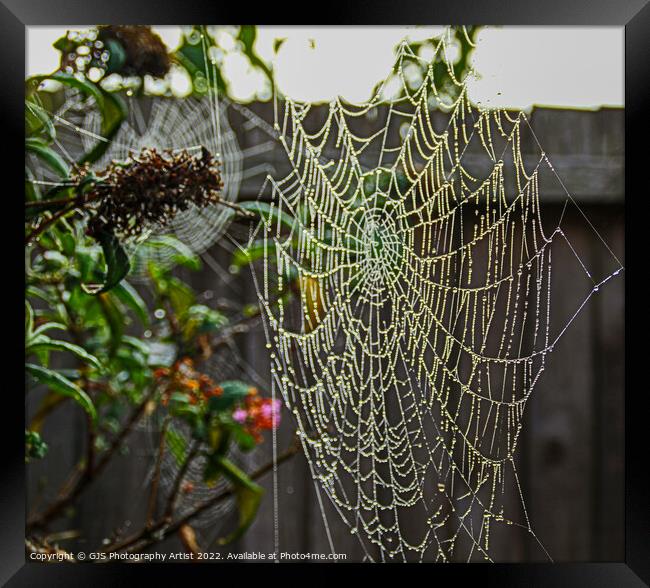 Garden Galaxy of Webs Framed Print by GJS Photography Artist