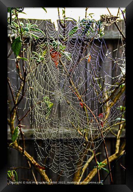 Dew Made the Webs Visable Framed Print by GJS Photography Artist