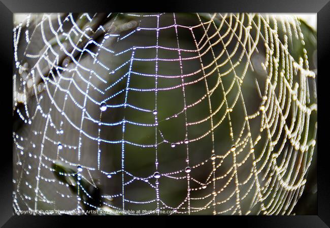 Rainbow Web Framed Print by GJS Photography Artist