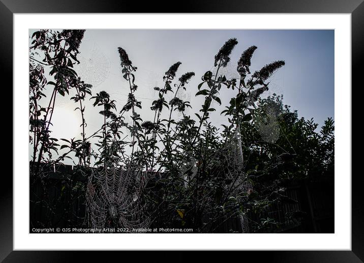 Spiderman Paid Garden A Visit Framed Mounted Print by GJS Photography Artist