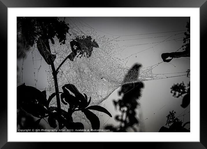 Moody Webby Framed Mounted Print by GJS Photography Artist