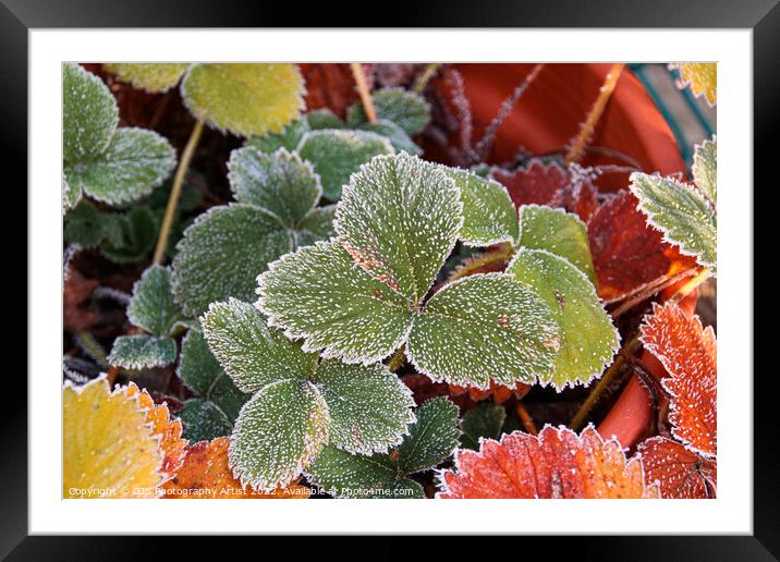 Glittering Frozen Strawberry Leaves Framed Mounted Print by GJS Photography Artist