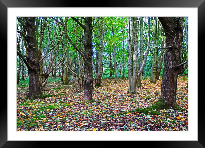 A Vivid Autumn Tapestry Framed Mounted Print by GJS Photography Artist