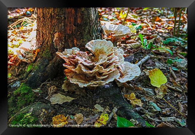 Not A Cabbage Framed Print by GJS Photography Artist