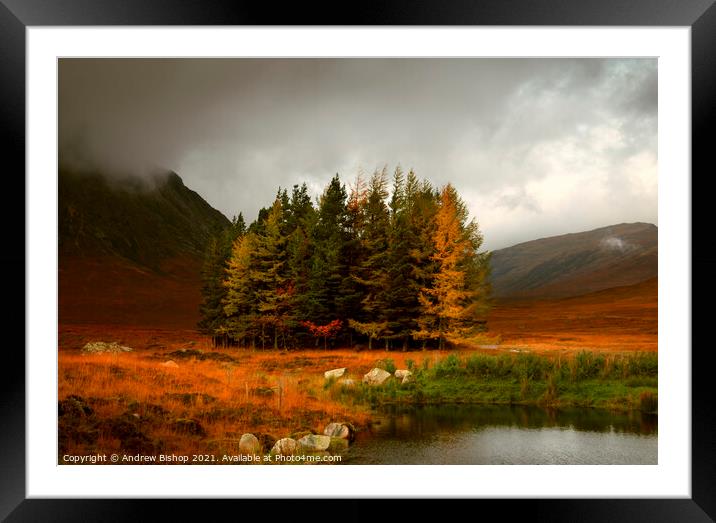 Autumn Vibes Framed Mounted Print by Andrew Bishop