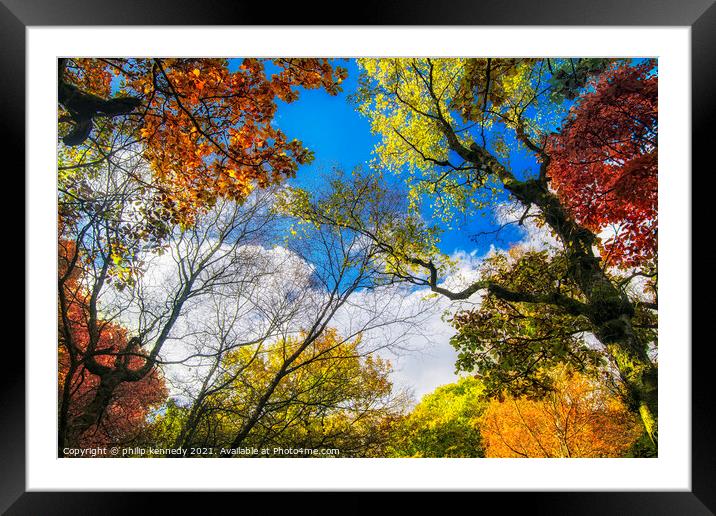 Autumn Framed Mounted Print by philip kennedy