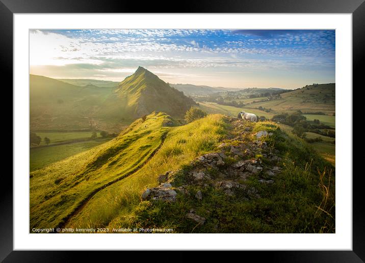 Sheep with a view Framed Mounted Print by philip kennedy