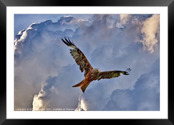 Red Kite  Framed Mounted Print by Simon Randall