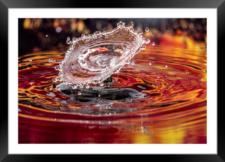 Water Drop Collision as an Inverted Cone Framed Mounted Print by Antonio Ribeiro