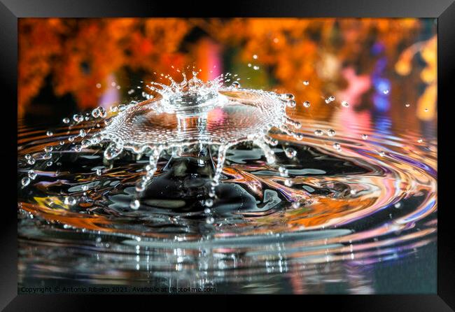 Water Drop Collision  Framed Print by Antonio Ribeiro