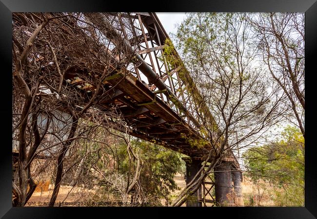 Dubbo Rail Bridge Over Macquarie River Framed Print by Antonio Ribeiro