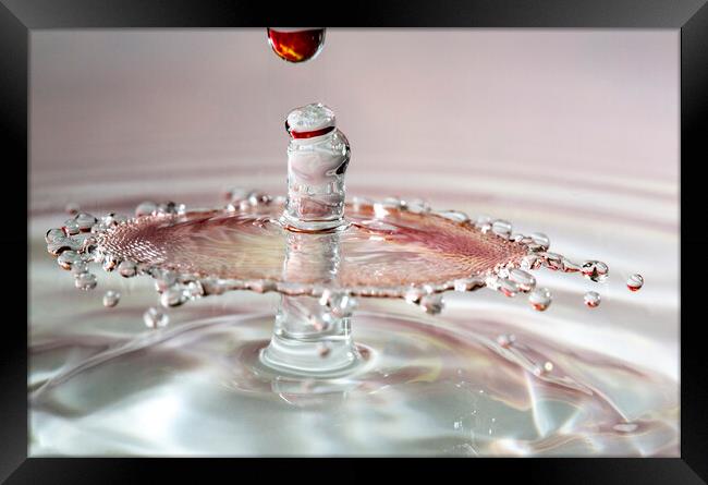 Water Drop Collision  Framed Print by Antonio Ribeiro