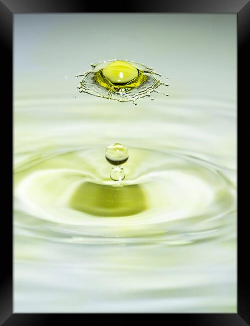 Yellow Water Drop Collision Framed Print by Antonio Ribeiro