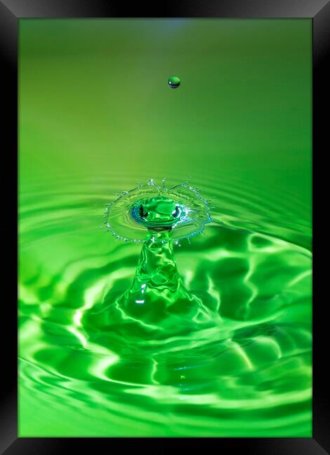 Green Water Drop Collision Framed Print by Antonio Ribeiro