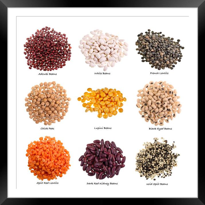 Various Types of Pulses on White Background with Names Framed Mounted Print by Antonio Ribeiro