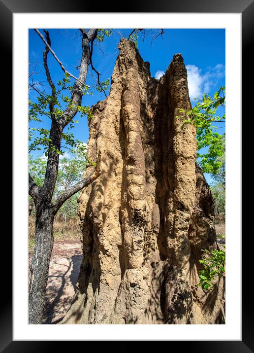 Litchfield Cathedral Termite Mounds Framed Mounted Print by Antonio Ribeiro