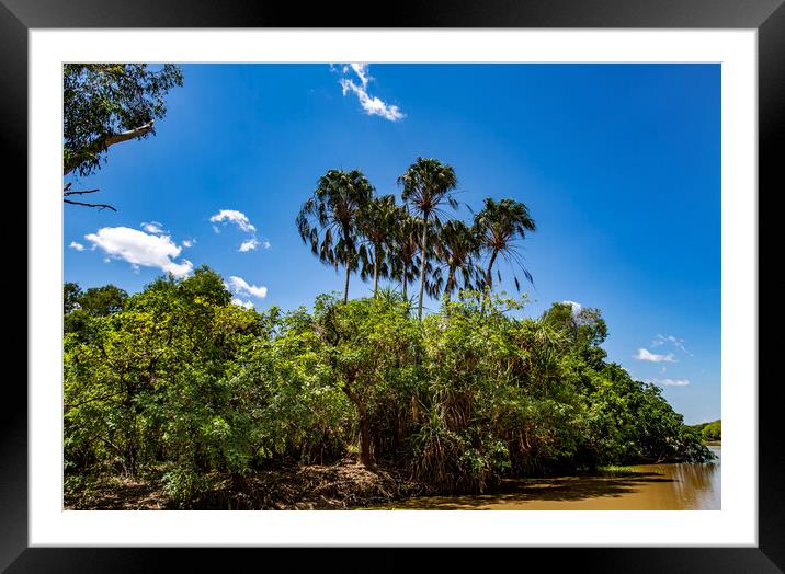 Kakadu Banks of the South Alligator River  Framed Mounted Print by Antonio Ribeiro