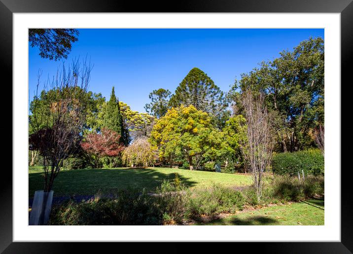 Toowoomba Queens Park and Botanic Gardens Framed Mounted Print by Antonio Ribeiro