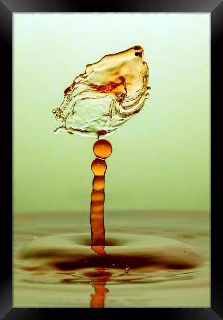 Water Drop Collision Framed Print by Antonio Ribeiro