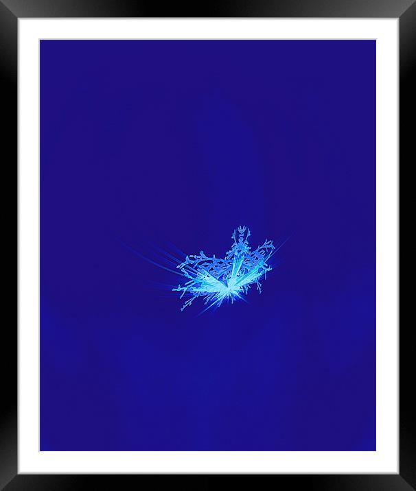 Snowflake Framed Mounted Print by Ferenc Kalmar