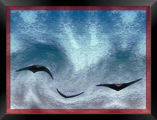 Birds Framed Print by Ferenc Kalmar