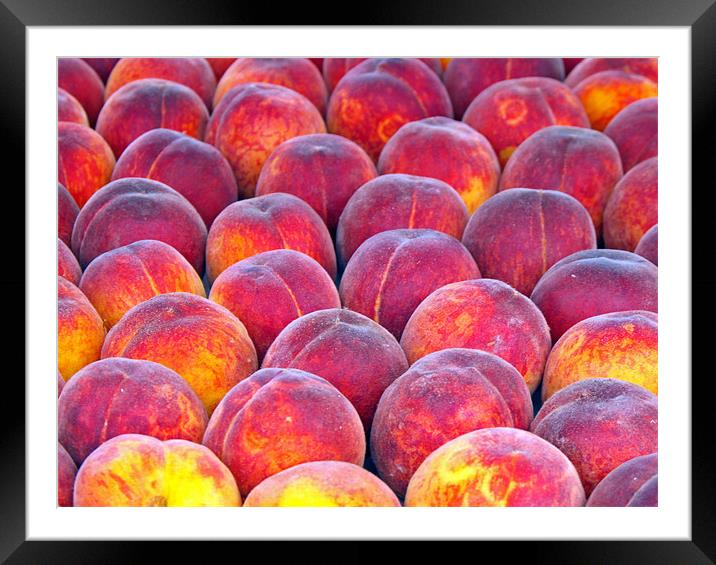 Peaches Framed Mounted Print by Ferenc Kalmar