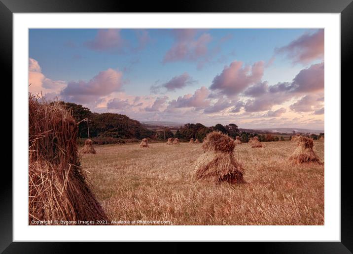 Mini Hay Stacks or Bales Isle of White 1954 Framed Mounted Print by Bygone Images