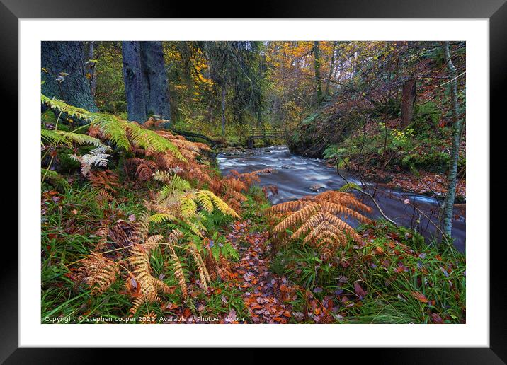 autumn colours Framed Mounted Print by stephen cooper