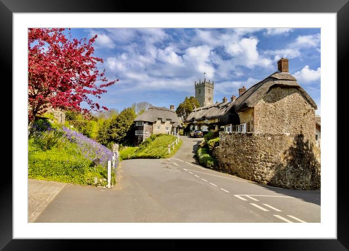 Godshill in Bloom Framed Mounted Print by Jack Marsden