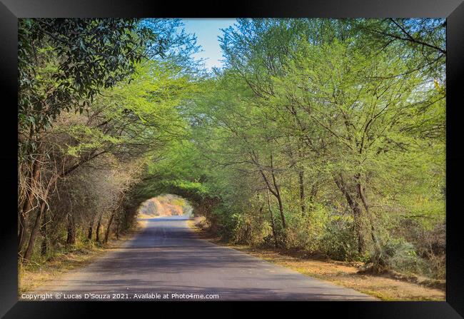 A village road with beautiful tree canopy  Framed Print by Lucas D'Souza