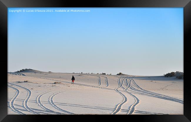 Tracks on the desert sand Framed Print by Lucas D'Souza