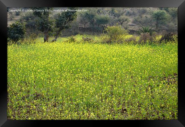 Mustard field with flowers Framed Print by Lucas D'Souza