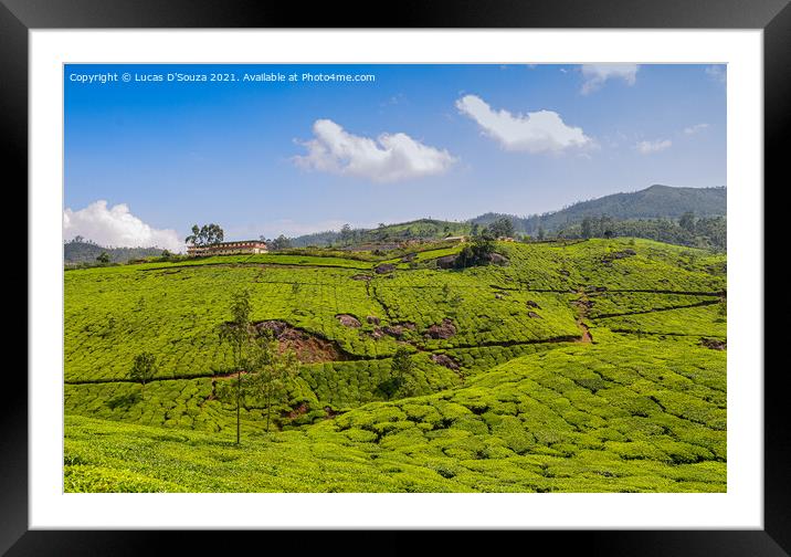 Tea Gardens of Munnar Framed Mounted Print by Lucas D'Souza