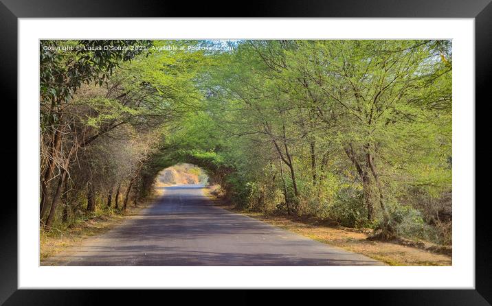 A country road with tree canopy Framed Mounted Print by Lucas D'Souza