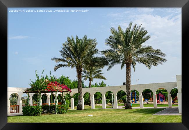 Arches and palms Framed Print by Lucas D'Souza