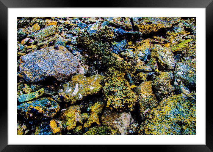 Colourful rocks on the beach Framed Mounted Print by Lucas D'Souza