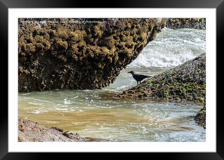 Sea inlet between rocks Framed Mounted Print by Lucas D'Souza