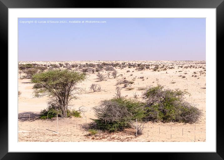 Desert Landscape Framed Mounted Print by Lucas D'Souza
