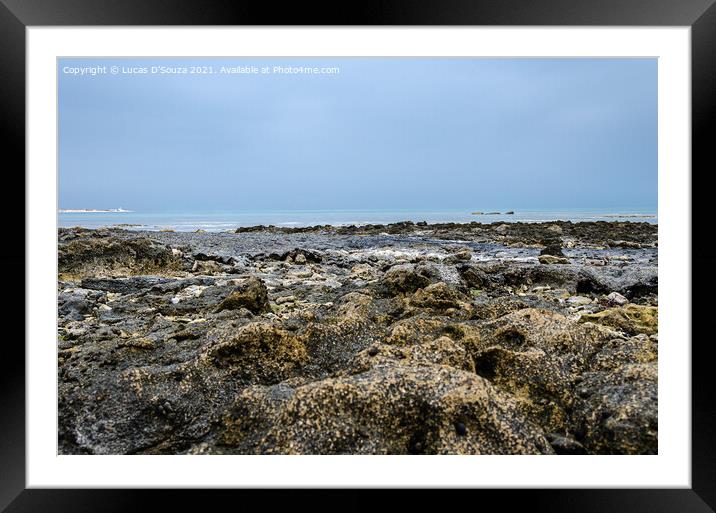 Colorful rocky beach of Al-Ghariya, Qatar Framed Mounted Print by Lucas D'Souza